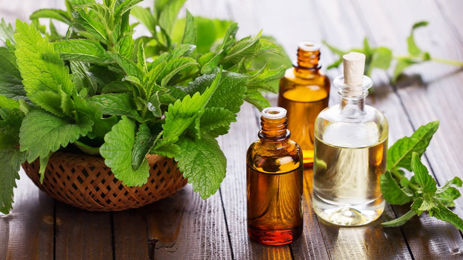 How to Use Peppermint Essential Oil?