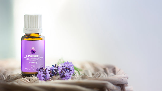 Importance of Lavender Essential Oil
