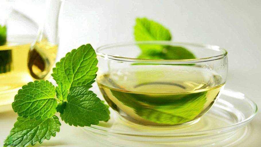 Importance of Peppermint Essential Oil